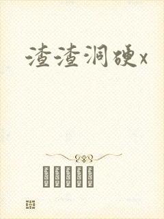 渣渣洞硬x