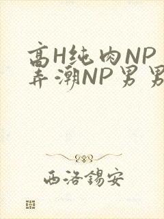 高H纯肉NP 弄潮NP男男