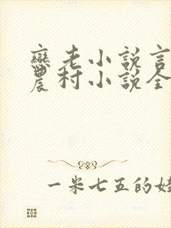 恋老小说言情网农村小说全文阅读