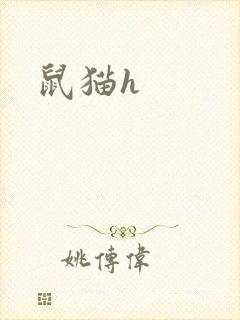 鼠猫h