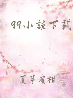 99小说下载网