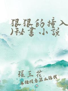 狠狠的撞入(h)秘书小说