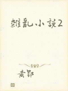 杂乱小说2