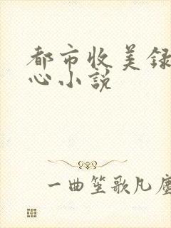 都市收美录宁素心小说