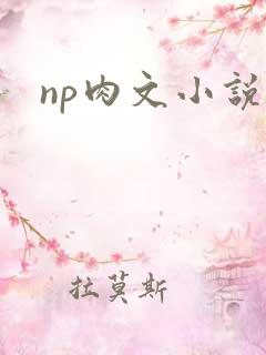 np肉文小说