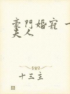 豪门婚宠 一品夫人