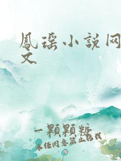 凤瑶小说网高辣文