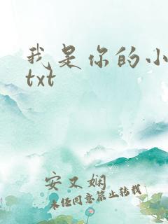 我是你的小小狗txt