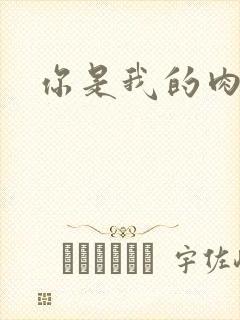 你是我的肉便器