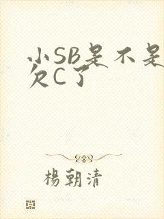小SB是不是又欠C了