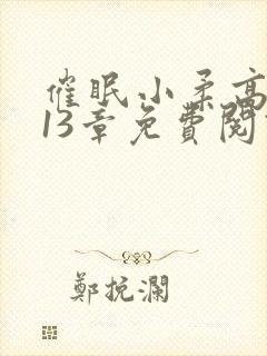 催眠小柔高达第13章免费阅读