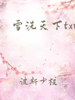 雪洗天下txt
