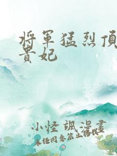 将军猛烈顶弄h贵妃