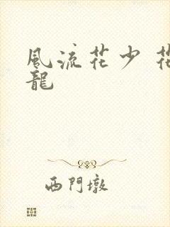 风流花少 花睿龙