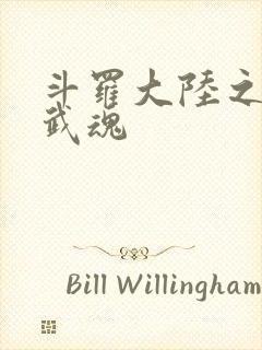 斗罗大陆之三生武魂