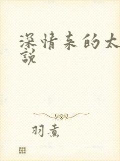 深情来的太迟小说