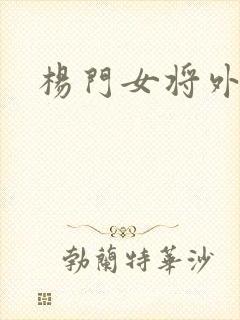 杨门女将外传