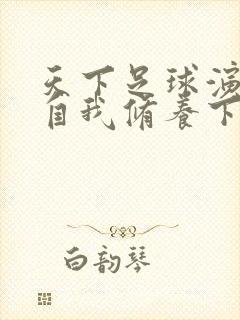 天下足球演员的自我修养下