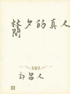 林夕的真人娃娃间