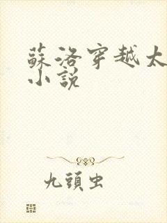 苏洛穿越太监的小说