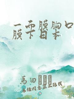 一面膜胸口一面膜下日本