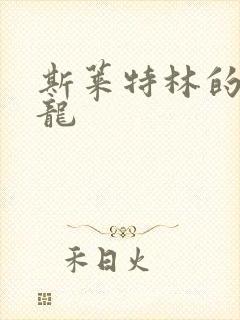 斯莱特林的铂金龙