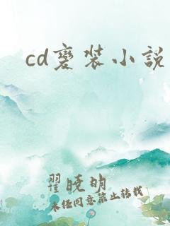 cd变装小说