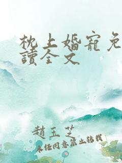 枕上婚宠免费阅读全文