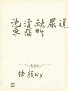 沈清秋尿道扩张车痛叫