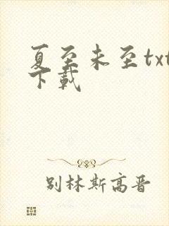 夏至未至txt下载