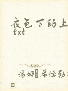 夜色下的上海滩 txt