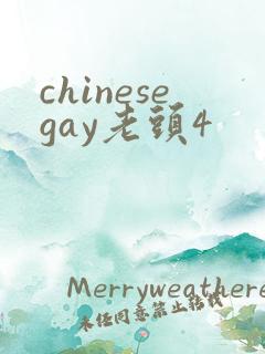 chinesegay老头4