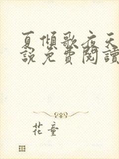 夏倾歌夜天承小说免费阅读