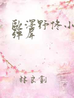 欧泽野佟小曼无弹屏