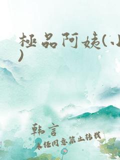 极品阿姨(小说)