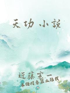 天功 小说