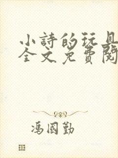 小诗的玩具日记全文免费阅读