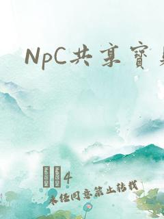 NpC共享宝贝