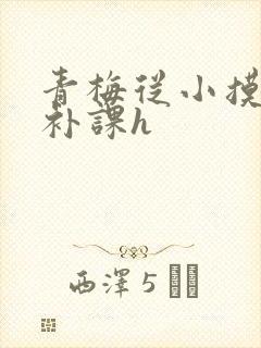 青梅从小摸到大补课h
