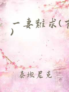 一妻难求(有肉)