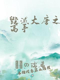 毁灭大唐之异能高手