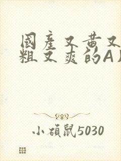 国产又黄又猛又粗又爽的A片小说