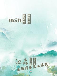 msnС˵