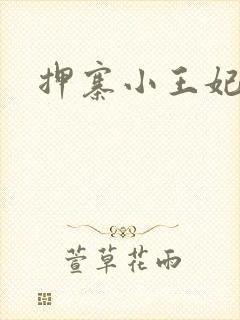 押寨小王妃