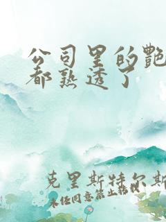 公司里的艳妇们都熟透了