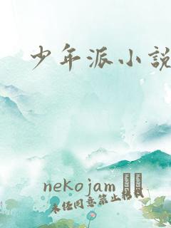 少年派小说