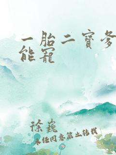 一胎二宝爹地超能宠