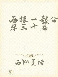 两根一起公憩止痒三十篇