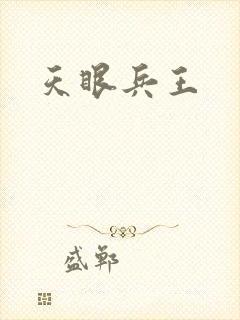 天眼兵王