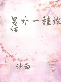 另外一种灿烂生活